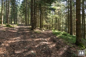 Die Wege sind gekennzeichnet, aber es gibt immer wieder Gelegenheit falsch abzubiegen (wie auf dem Bild). Immer auf die richtige Wegnummer achten (rechts im Bild).