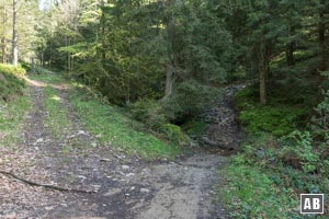 Über den Bach rechts empor und jenseits einer Lichtung in einem querenden Steig linkerhand einfädeln.