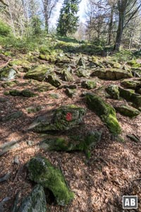 Nach einem Rechtschwenk zuletzt über einige Felsen zum Gipfel des Dreitannenriegels.