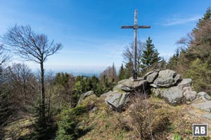 Der Gipfel des Dreitannenriegels mit dem flachen Vorland am Horizont.