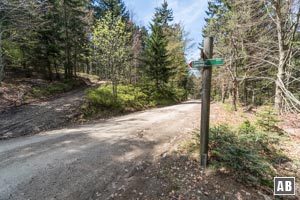 Die Teerstraße in Richtung Loderhart verlassen wir nach links, hoch in den Wald - in Richtung Kreuzfelsen.