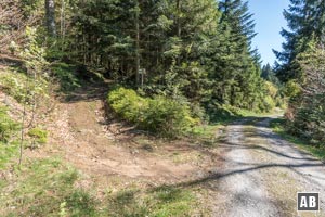 Nach links kürzen wir den Forstweg über einen Waldsteig ab.