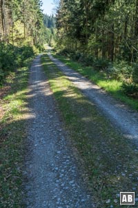 Dem Forstweg talwärts folgen.