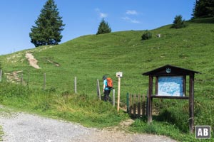 Oberhalb der Schäferhütte durch ein Gatter...