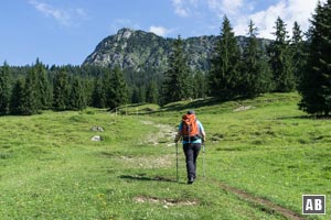 ...und über das Weidegelände weiter bergan