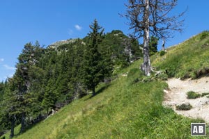 Steil empor bis zu diesem begrünten Sattel südöstlich vom Gipfel