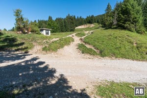 Wir überqueren mehrmals einen planierten Schotterweg.