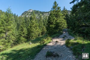 Lichter Bergwald und kleine, sonnige Terrassen wechseln sich in der Fortsetzung ab