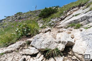 Das Gipfelkreuz kommt in Sicht. Durch einen engen Rechtsbogen über plattigen Fels gelangen wir zum höchsten Punkt des Einstein.