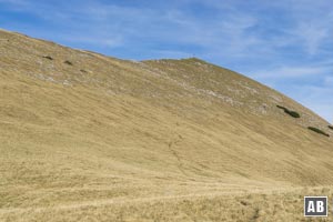 ...der grasigen Gipfelkuppe des Friederspitz entgegen, weglos nach links hoch auf den Grat...