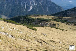 Zurück am Friederspitz wandern wir den grasigen Gipfelhang abwärts...