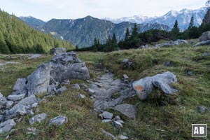 Farbige Markierungen leiten uns ans untere Ende der Lichtung - wo wir den auffälligen Anschluss finden