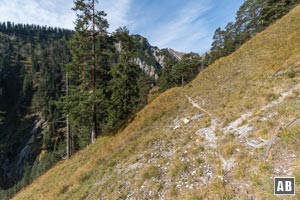 Im Prinzregentensteig: Querung steiler Grashänge oberhalb der Friederlaine