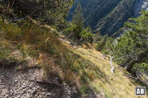 450 Höhenmeter steigen wir im Prinzregentensteig über einen Steilhang bergwärts. Ausrutschen verboten!