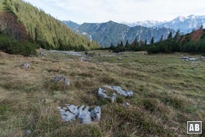 Auf einer unübersichtlichen Lichtung verläuft sich die Spur