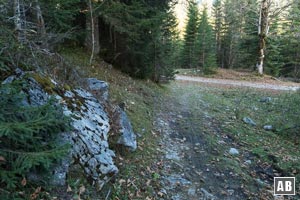 ... bis zu einem querenden Forstweg - der Elmaustraße