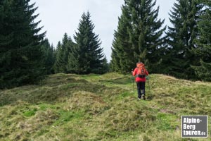 Für den Abstieg über die Falkenbergalpe hinter dem Kreuz in den Forstbestand hinein.