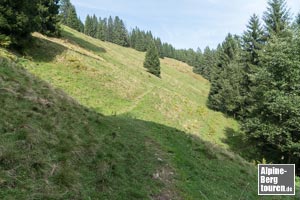 Nachdem erneut baumreiches Gefilde durchschritten wurde, darf in der sich öffnenden Wiese nicht der korrekte Anschluss verpasst werden. Nicht den verführerischen Spuren geradeaus folgen...