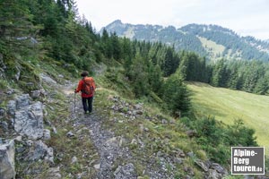Die breite Trasse hinab zum Areal der Hinteren Falkenbergalpe (ca. 1.300 m).