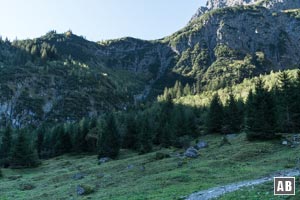 An der Hinteren Gemstelalpe haben wir instruktiven Einblick in die Geländestufe, die wir nachfolgend überwinden müssen