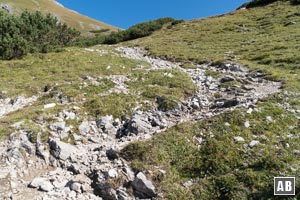 ...den geröllhaltigen Fahrstuhl hoch zum Koblatpass bereit hält