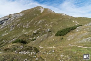 Am Koblatpass hat sich das Antlitz des Geißhorn komplett gewandelt. Aus dem Kleinwalsertal noch als unzugängliche Mauer erkannt, sehen wir von hier nur noch eine sanfte Gipfelflanke vor uns.