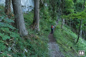 ...schnürt sich die Route zu einem gewaschenen Bergsteig zusammen