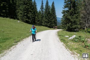 Über zwei fast gleichhohe Geländestufen (getrennt durch eine Flachpassage) geht es hinauf