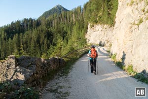 Auf dem Rückweg zwischen Gotzentalalm und Königsbachalm erspart die planierte Bikepiste ca. 50 Hm Gegenanstieg