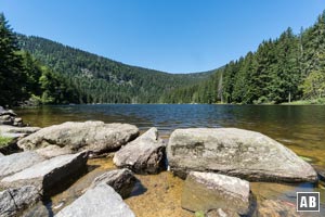 Der Große Arbersee: Ein Kleinod am Fuße des Großen Arbers.