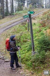 Zweimal überqueren wir eine Forststraße.