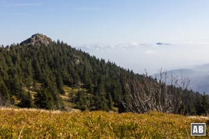 Wanderung Großer Arber: Der Große Rachel (rechts im Hintergrund) schaut gerade so aus dem Nebel. Links im Vordergrund  der Große Seeriegel.