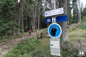 Die Abzweigung zur Chamer Hütte. Weiter bergan über einem gerölligen Steig.