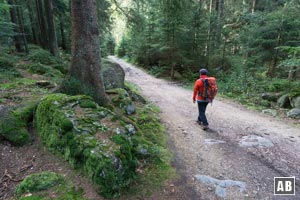 Einfache Wege sind charakteristisch für diese Rundwanderung - und bringen uns bis zum Kleinen Arbersee