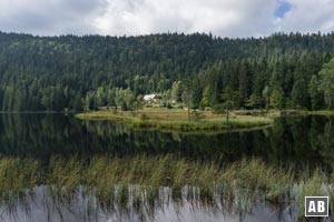 Der idyllische Kleine Arbersee