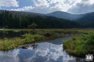 Der Große Arber gesehen vom Kleinen Arbersee