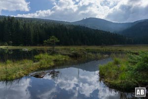 Wir wandern zum Seehäusl ans andere Ufer und genießen den Blick über den Kleinen Arbersee und den Großen Arber (im Hintergrund)