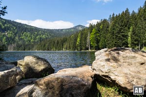 Der Große Arbersee mit dem Großen Arber im Hintergrund