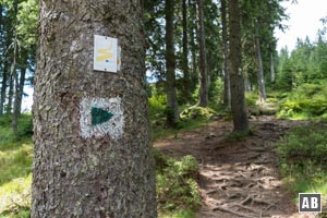 Links der Chamer Hütte beginnt der steile Aufstieg zum Gipfel des Kleinen Arber