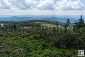 Aussicht vom Kleinen Arber ins Zeller Tal