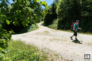 Im weiteren Verlauf macht die Forststraße ein steile Kehre nach links. Hier gehen wir aber gerade aus weiter (unbeschildert)