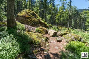 Der Beginn des wunderschönen Seewandweges