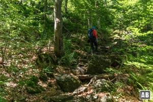 Impressionen aus dem Seewandweg