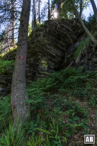 Impressionen aus dem Seewandweg