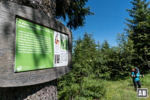 An diesem Schild mündet der Seewansteig in den offiziellen Wanderweg der vom Mittagsplatzl zum Arber hinauf zieht ein