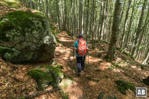 Abstieg vom Ahornriegel zum Schwellsteig