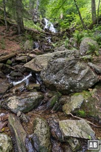 Wasserspiele im Höllbachgspreng