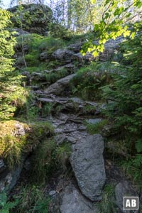 Der kurze, felsige Aufstieg zum Kleinen Falkenstein