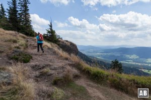 Von der Kötztinger Hütte wandern wir unseren Weg zurück und erreichen die aussichtsreiche Lichtung der Steinbühler Gesenke.