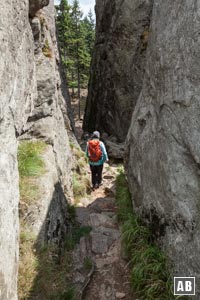 Wanderung Kaitersberg: In der Schlucht der Rauhröhren.